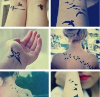Tatuaże, motywy ptaków.