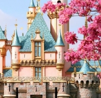 Disney land, Moda, kwiatowy, kwiaty, fotografia, ładna 