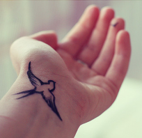 tatuaż, tatuaż na ręce, ręka, tatuaż ptak, ptak, nadgarstek, zdjęcie tatuaż