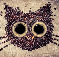 Zdjęcie kota, ziarenka kawy ułożone w kształcie głowy, filiżanka świeżej kawki.