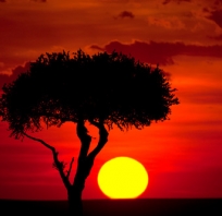 Zachód słońca w afryce