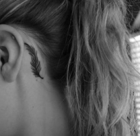 tatuaż, damski, dyskretny, za uchem, piórko, tatoo, piękny