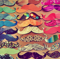wąsy, kolorowe, piękne, śliczne, cudne, ładne, dużo, masa, git 