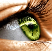 oko, źrenica, zieleń, tęczówka, inspiracje, rzęsy, zdjęcie, zielony