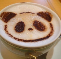 kawa, panda, fajna,śmieszna