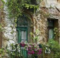 piękny, stary,dom, kamienica, rośliny, pnącza, zamek, architektura