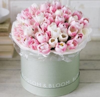dzień kobiet, tulipany, piękne, kwiaty, róż, białe, 8 marca