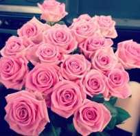 róże, piękne, róż, kwiaty
