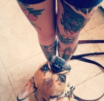 pies, mops, nogi, tatuaż, sexy, kobieta, słodkie,