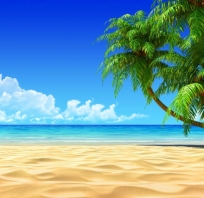 plaża , piękne , palmy , morze , niebo