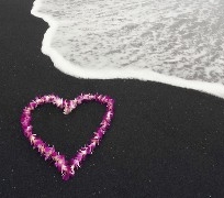 plaża , serce , kwiaty , piękne , różowy , czarny , szary
