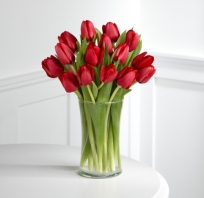 tulipany, kwiaty, przyroda, natura, kwiatek, miłość, love, dzień, kobiet, kobieta