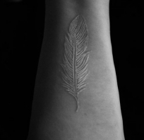 biały, tatuaż, pióro, ręka, piękny