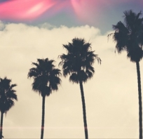 palmy, widok, kalifornia, miami, chmury, love, 