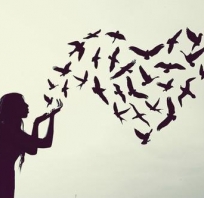 miłość, wolność, ptaki, podmuch, serce, serduszko, love