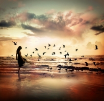 piękna, fotografia, morze, ocean, dziewczyna, ptaki, zachód słońca
