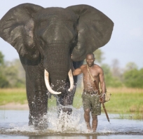 słoń, człowiek, przyroda, natura, afryka