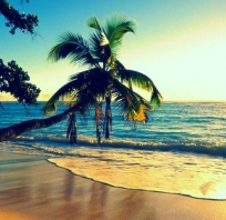 wakacje, plaża, love, morze