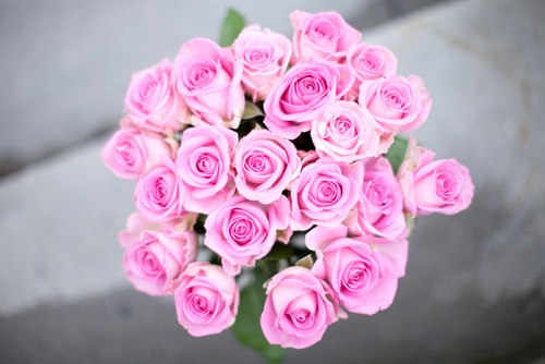#Różowe#kwiaty#róże#już#są#moje# . 