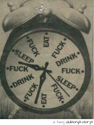 zegarek, śmieszny, humor, sen, picie, fun