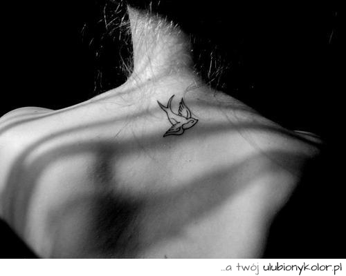 tatuaż, ptak, motyw ptaka, na plecach, tattoo