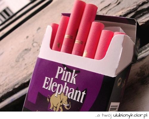 pink, elephant, papierosy, różowe, smakowe, kolorowe, różowe