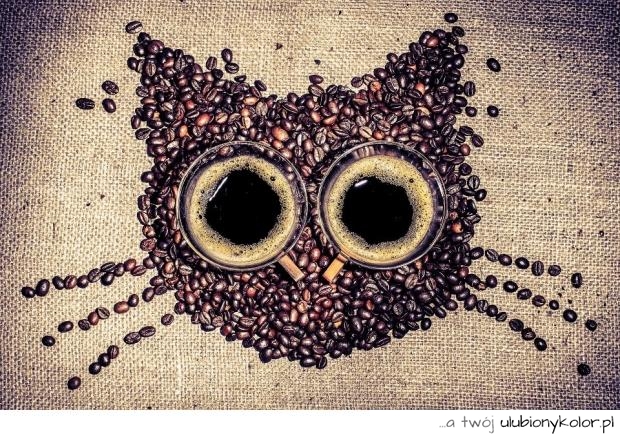 Zdjęcie kota, ziarenka kawy ułożone w kształcie głowy, filiżanka świeżej kawki.