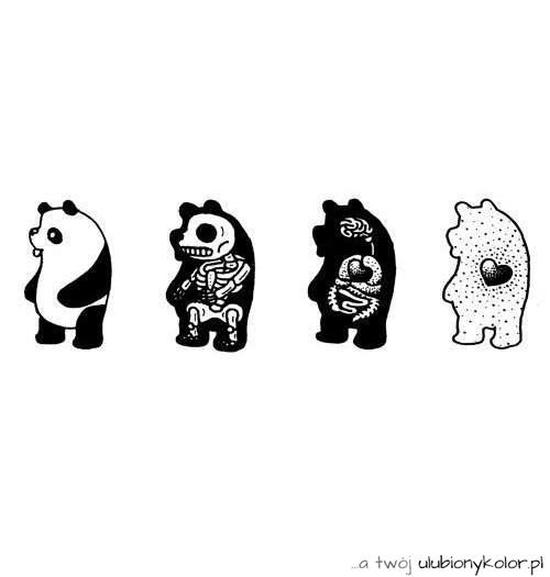 panda, grafika, zwierze
