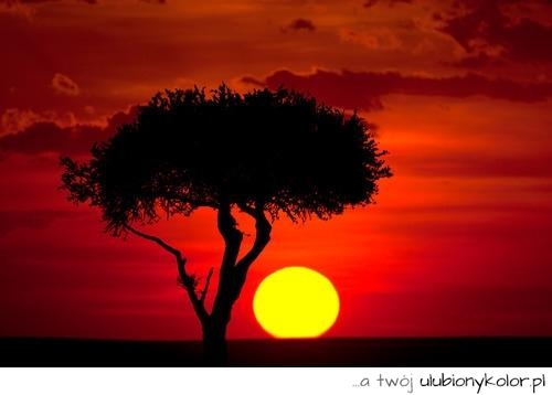Zachód słońca w afryce