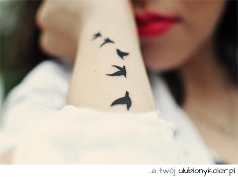 tatuaż, ptaki, wolność, przedramię, ręka, dyskretny, dziewczęcy