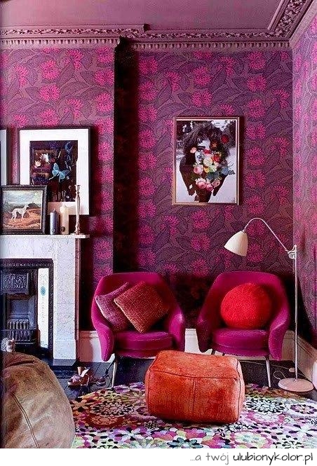pokój, architektura, purpura, róż, fajny, fotele, kolorowo