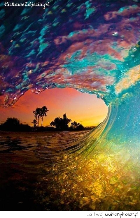 plaża, kolor, zdjęcie, wakacje, palma, cool