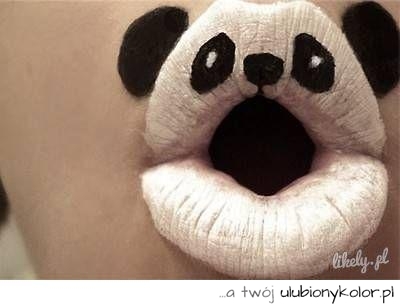 panda, usta, koala, zdziwienie, piękne, talent, gitesowe