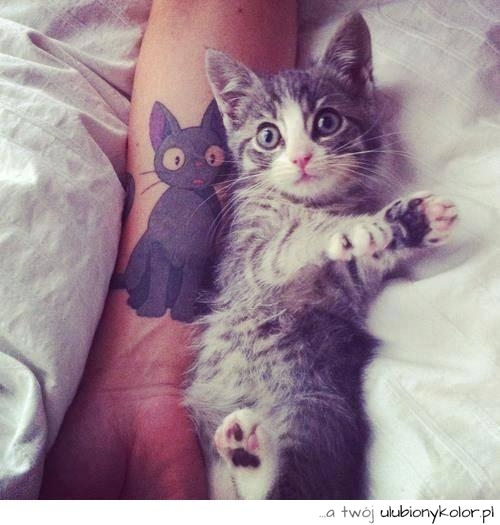 tatuaż, kot, ręka, fajna