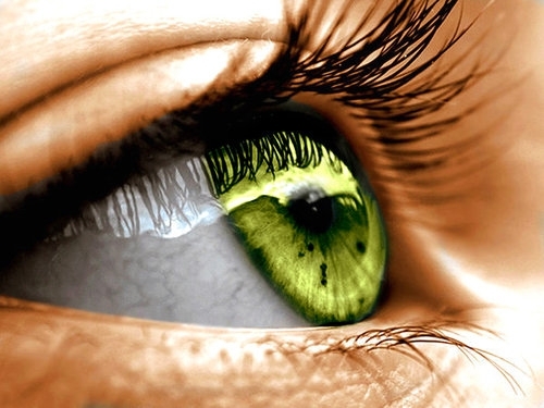 oko, źrenica, zieleń, tęczówka, inspiracje, rzęsy, zdjęcie, zielony