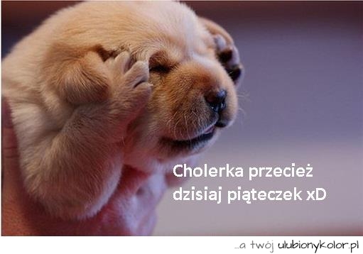 Cholerka :)