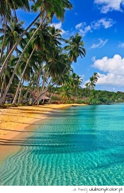 Tak właśnie tu chcę na wakacje! #wakacje