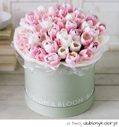 dzień kobiet, tulipany, piękne, kwiaty, róż, białe, 8 marca