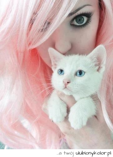 Piękny biały koteczek :) <3