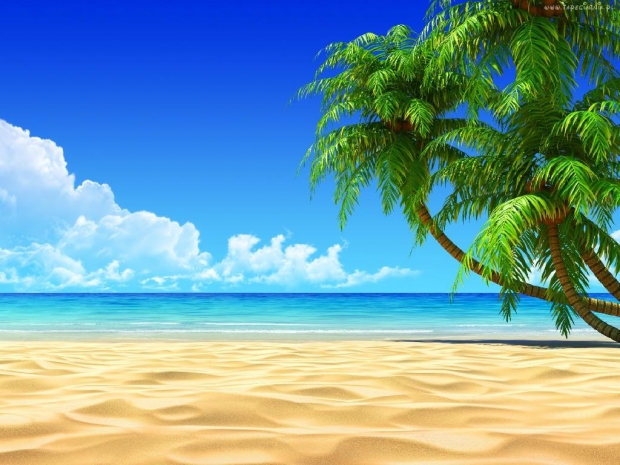 plaża , piękne , palmy , morze , niebo
