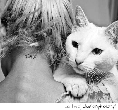 kot, biały, puszek, tatuaż, szyja, zdjęcie biały, kot