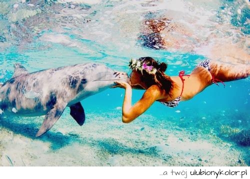 kobieta, woda, delfin, zdjęcie pod wodą, basen , zwierze, natura
