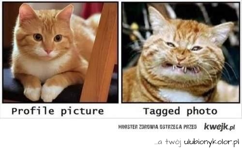 Zdjęcie profilowe vs zdjęcie na którym zostałam oznaczona!