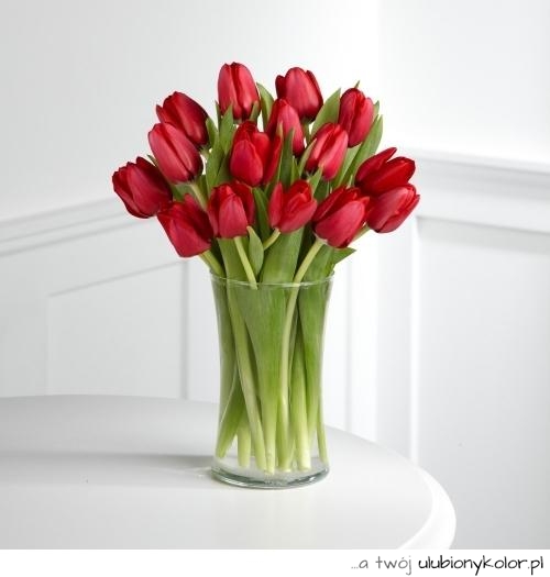 tulipany, kwiaty, przyroda, natura, kwiatek, miłość, love, dzień, kobiet, kobieta