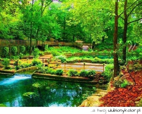 ogród, japoński, kolorowo, zieleń