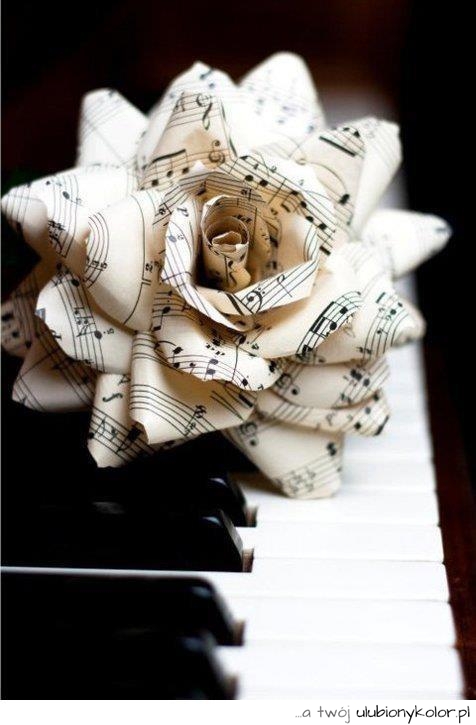 róża, nuty, pianino, super, śliczne, muzyka