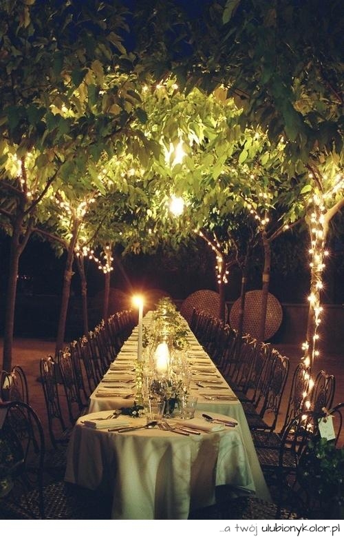 romantycznie, ogród, zaczarowany, rośliny, stół, kolacja, przepiękny, cudowny, świeca, 