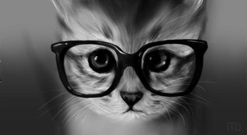 Okulary, kot, czarny i biały, Kitty, fotografia