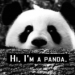 profil: panda333